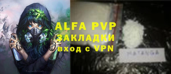 ПСИЛОЦИБИНОВЫЕ ГРИБЫ Абдулино