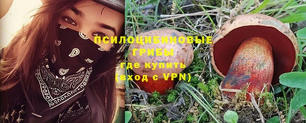 apvp Абаза