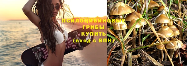 apvp Абаза